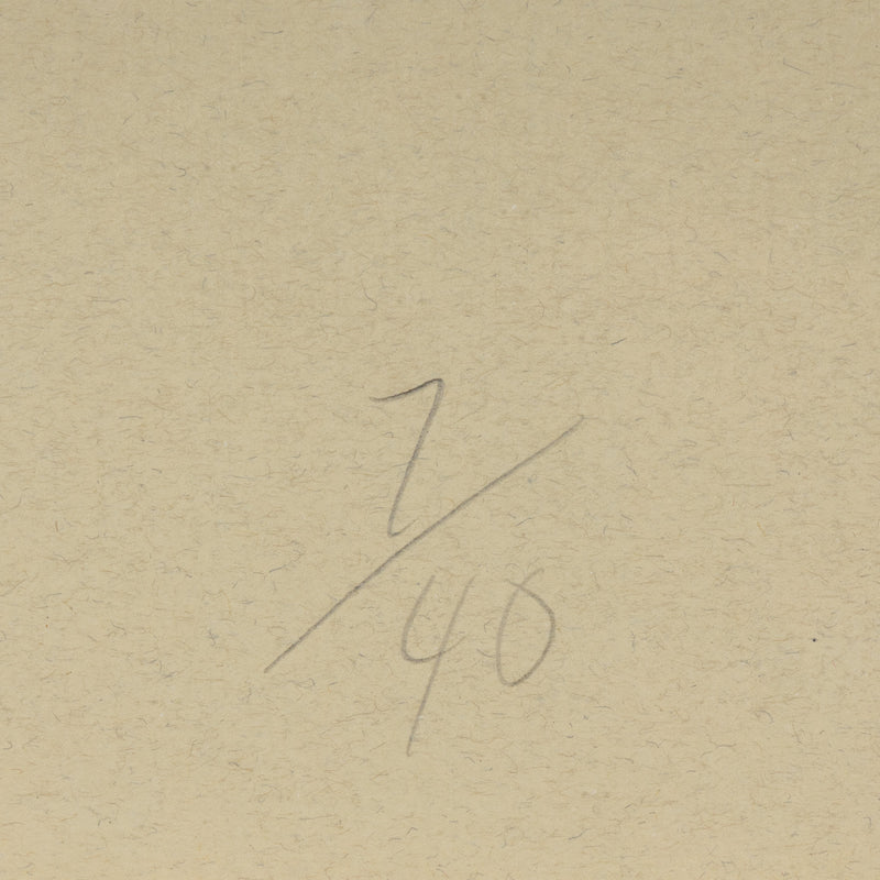 DONALD SULTAN "AQUA TRUMPET" SCREENPRINT, 2011