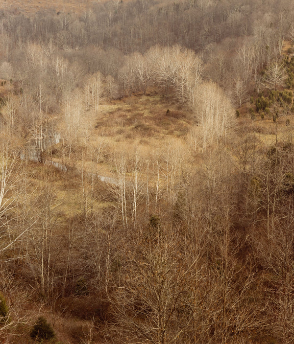 edward burtynsky west virginsia fall 1982 early photography early work burtynsky embryonic work early photography edward burtynsky early landscape photography 