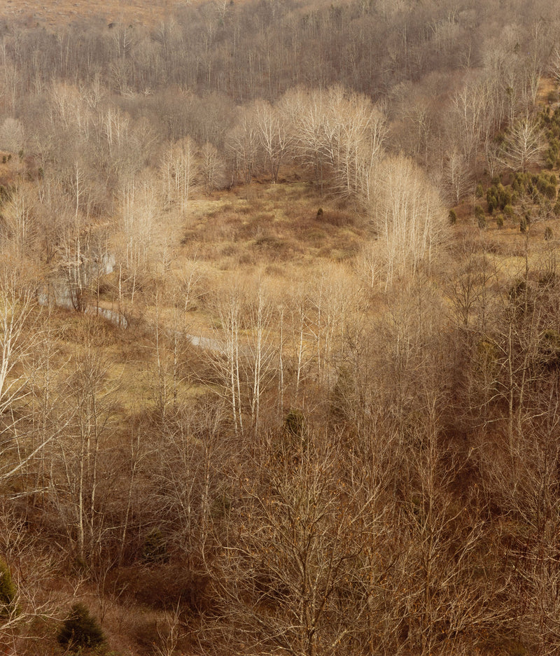 edward burtynsky west virginsia fall 1982 early photography early work burtynsky embryonic work early photography edward burtynsky early landscape photography 