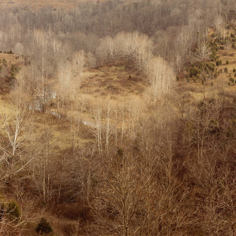 edward burtynsky west virginsia fall 1982 early photography early work burtynsky embryonic work early photography edward burtynsky early landscape photography 