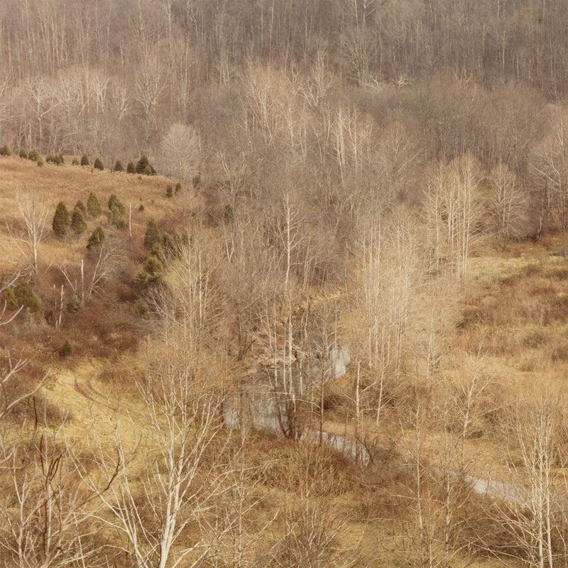 edward burtynsky west virginsia fall 1982 early photography early work burtynsky embryonic work early photography edward burtynsky early landscape photography 