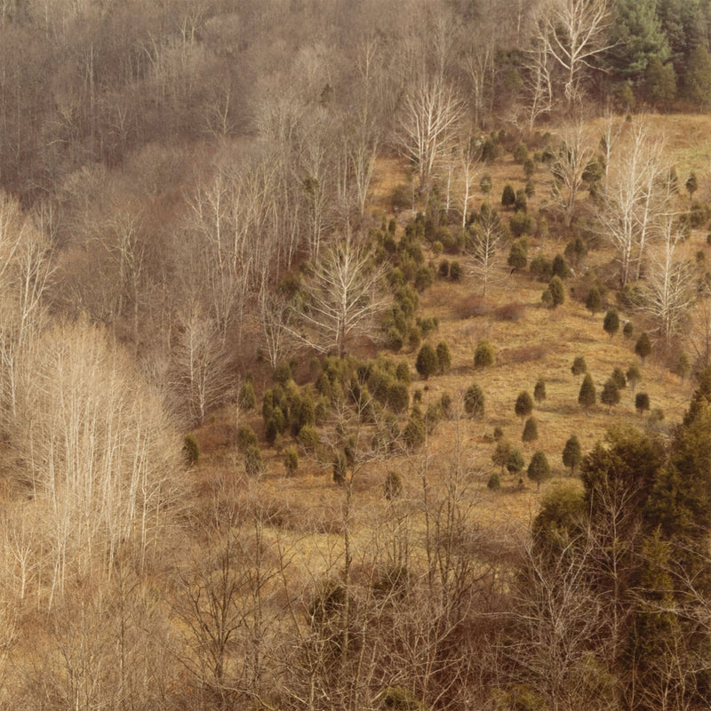edward burtynsky west virginsia fall 1982 early photography early work burtynsky embryonic work early photography edward burtynsky early landscape photography 