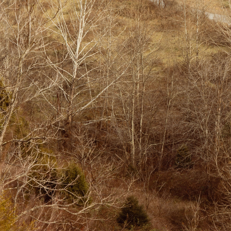 edward burtynsky west virginsia fall 1982 early photography early work burtynsky embryonic work early photography edward burtynsky early landscape photography 