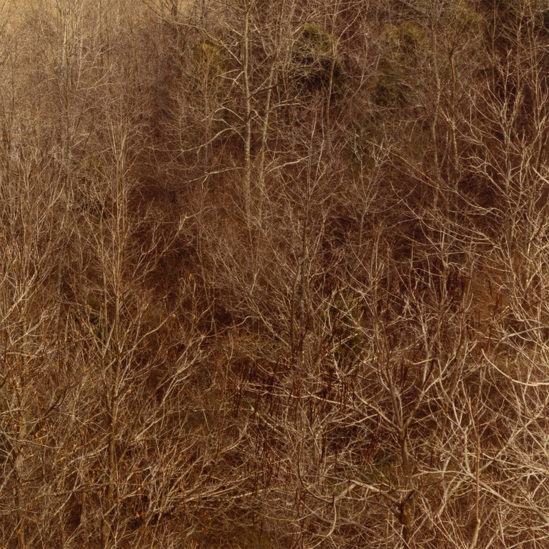 edward burtynsky west virginsia fall 1982 early photography early work burtynsky embryonic work early photography edward burtynsky early landscape photography 