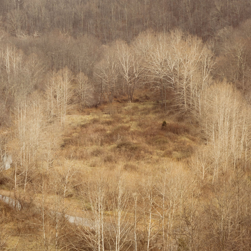 edward burtynsky west virginsia fall 1982 early photography early work burtynsky embryonic work early photography edward burtynsky early landscape photography 