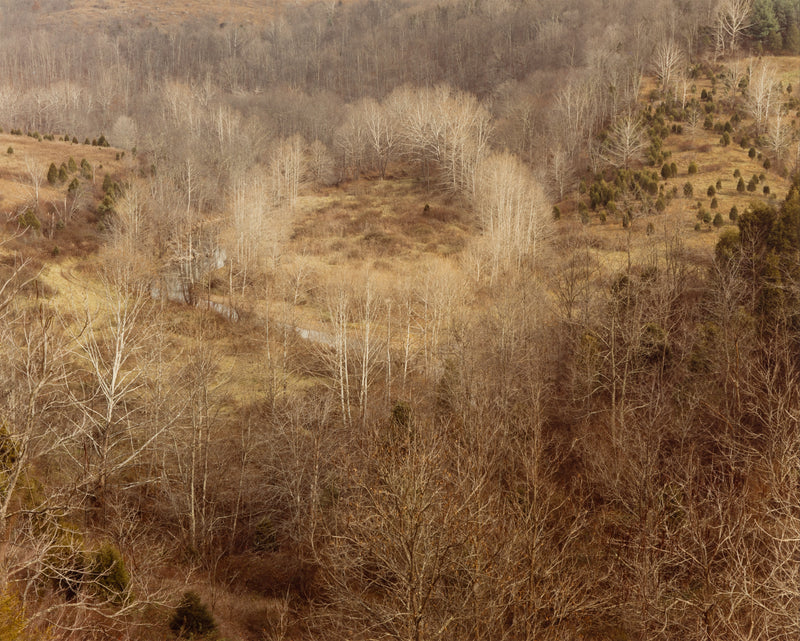 edward burtynsky west virginsia fall 1982 early photography early work burtynsky embryonic work early photography edward burtynsky early landscape photography 