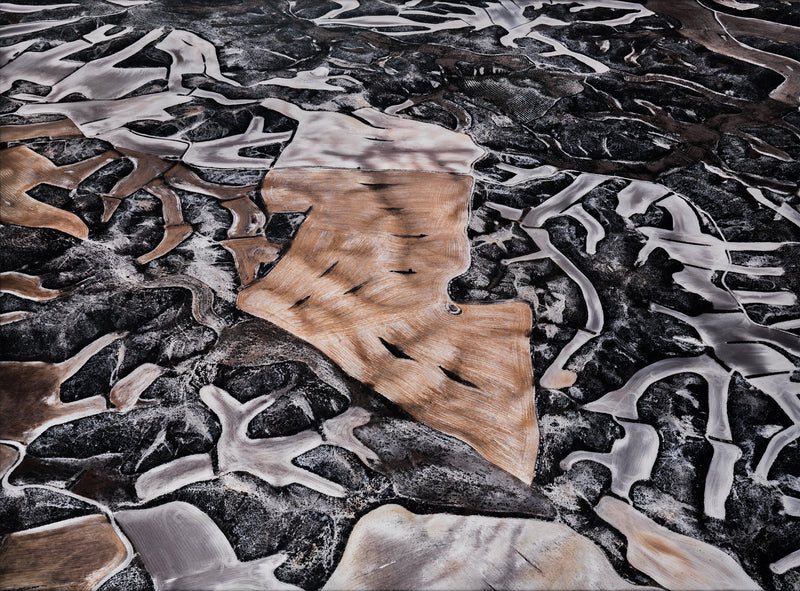 edward burtynsky ed dryland farming aerial view spain photographer photography canadian monegros county aragon spain #25 iconic environmental climate change artwork photograph 