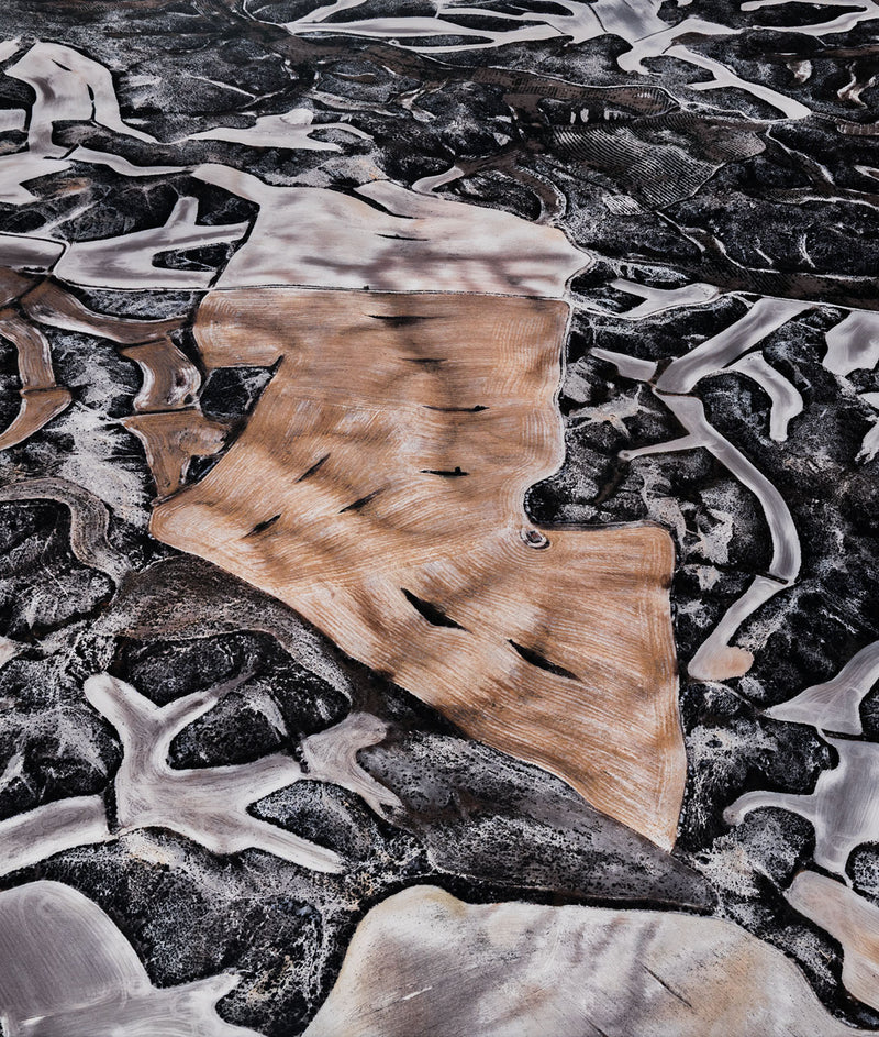 edward burtynsky ed dryland farming aerial view spain photographer photography canadian monegros county aragon spain #25 iconic 