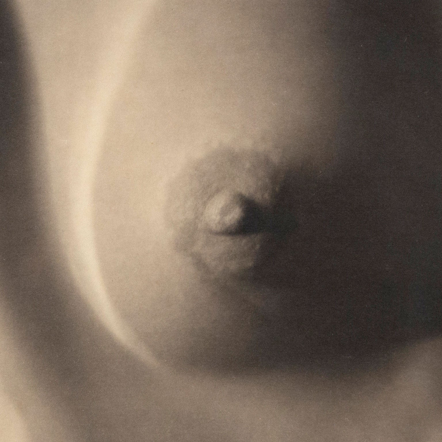 edward-weston-nude-gelatin-silver-print-1920-caviar20