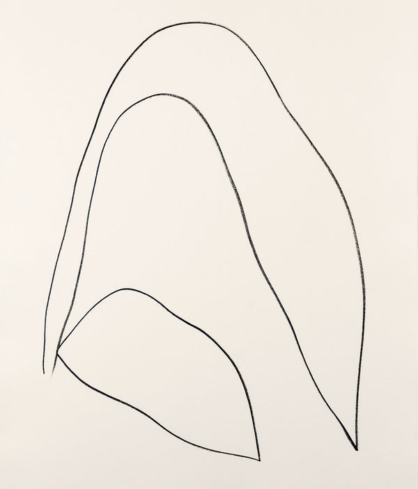 ELLSWORTH KELLY "LEAVES (FEUILLES)" LITHOGRAPH, 1964