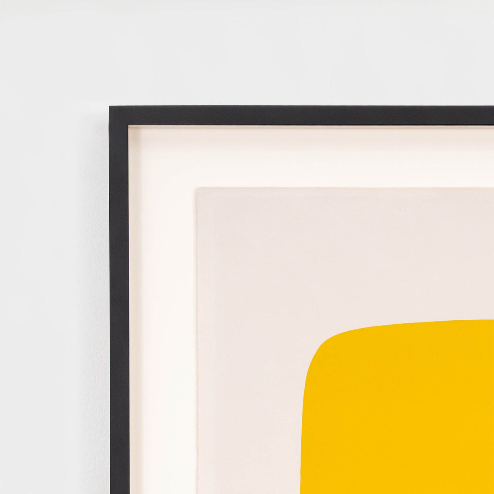 ELLSWORTH KELLY 
