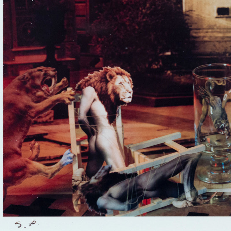 EVERGON "CHAOS: SAVAGE CATS" POLAROID, 1985