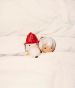 FELIX GONZALEZ-TORRES "SNOOPY AND BAMM-BAMM" 1994