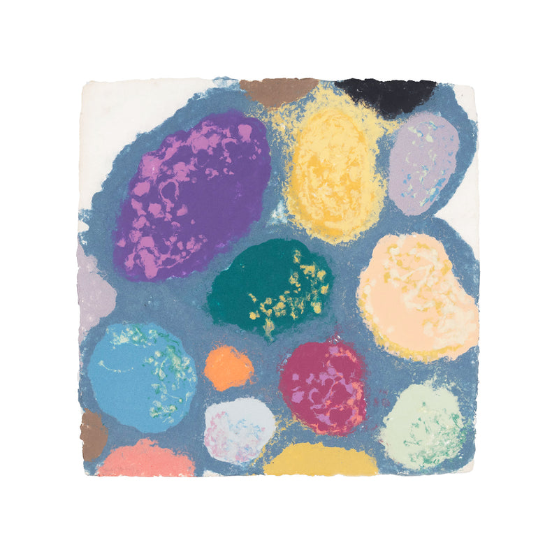 Friedel Dzubas AbEx Color Field Colour Field painter Colorfield abstract expressionist paper making papermaking printmaking print making maker cast paper pulp islands collaborative work american artists new york school 