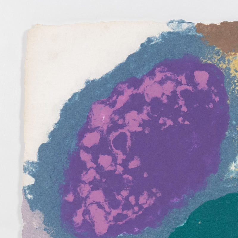 Friedel Dzubas AbEx Color Field Colour Field painter Colorfield abstract expressionist paper making papermaking printmaking print making maker cast paper pulp islands collaborative work american artists new york school 