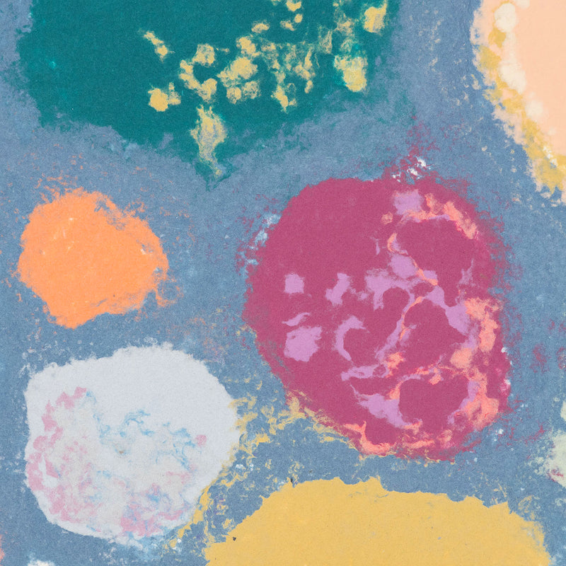Friedel Dzubas AbEx Color Field Colour Field painter Colorfield abstract expressionist paper making papermaking printmaking print making maker cast paper pulp islands collaborative work american artists new york school 
