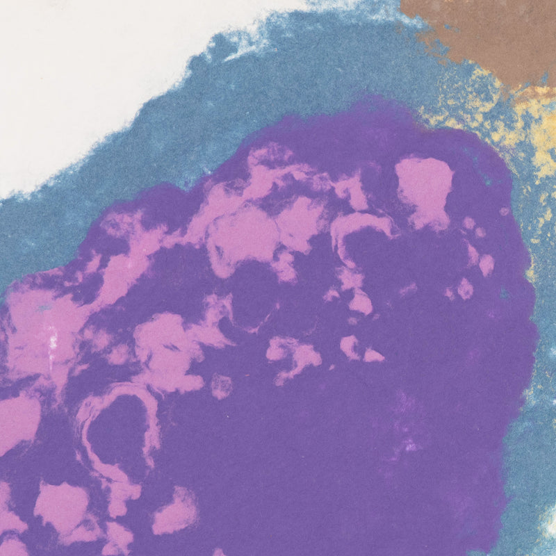 Friedel Dzubas AbEx Color Field Colour Field painter Colorfield abstract expressionist paper making papermaking printmaking print making maker cast paper pulp islands collaborative work american artists new york school 