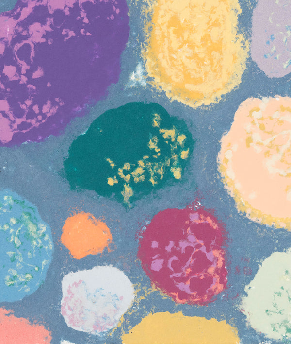 Friedel Dzubas AbEx Color Field Colour Field painter Colorfield abstract expressionist paper making papermaking printmaking print making maker cast paper pulp islands collaborative work american artists new york school 