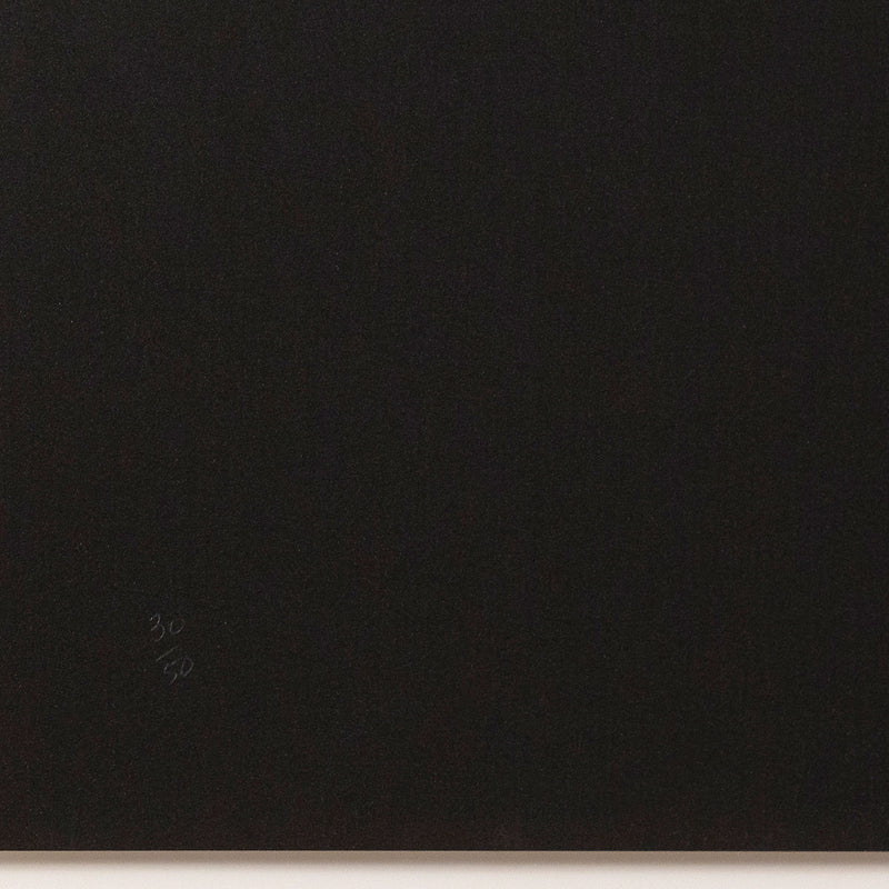 GENERAL IDEA "PASSION OVER REASON" SCREENPRINT, 1987