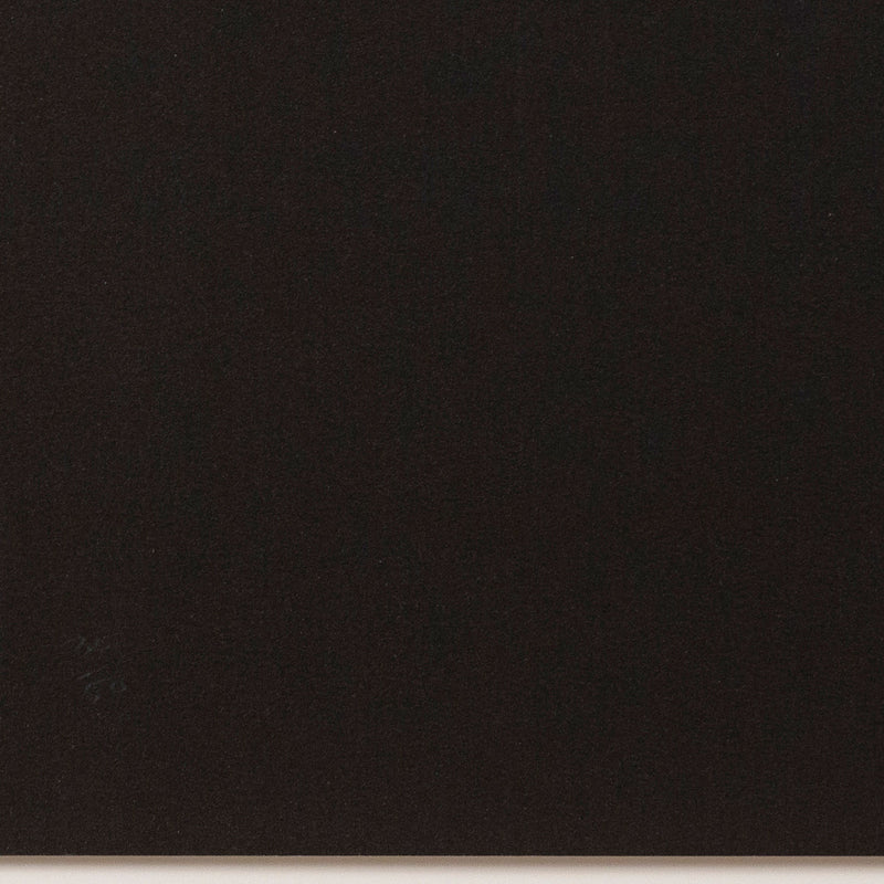 GENERAL IDEA "CORNUCOPIA" SCREENPRINT, 1987