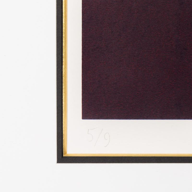 GUIDO MOLINARI "DEUX MARRONS" SERIGRAPH, 1992