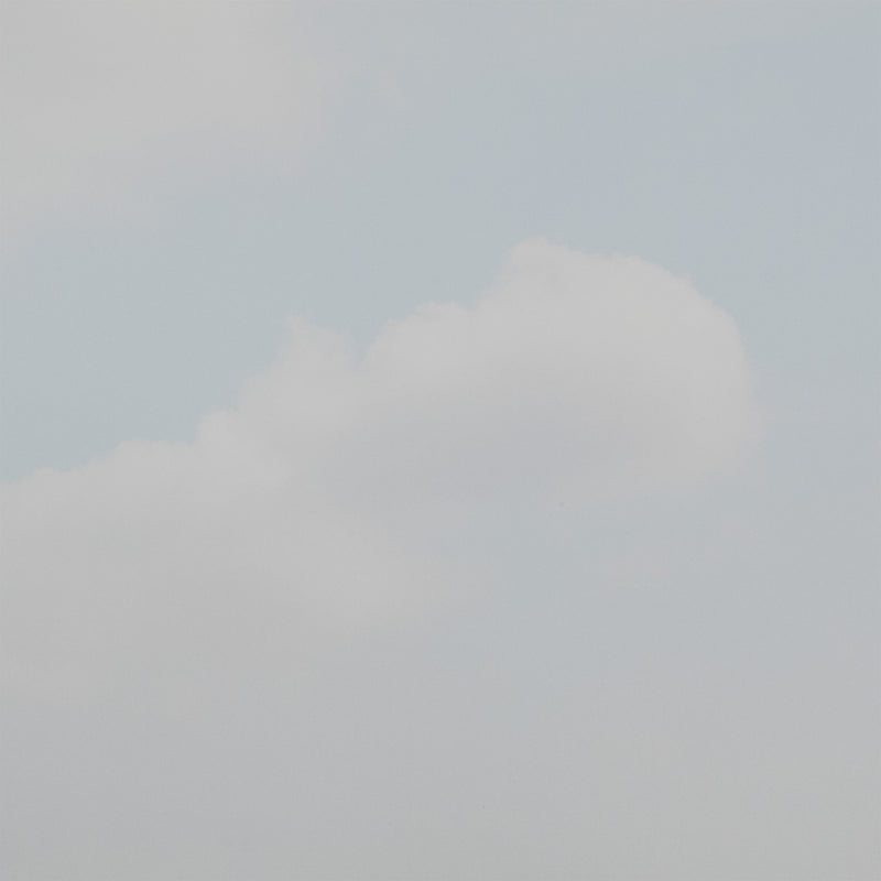 JEFF WALL "SCHOOLYARD, VANCOUVER – SPRING" 2011