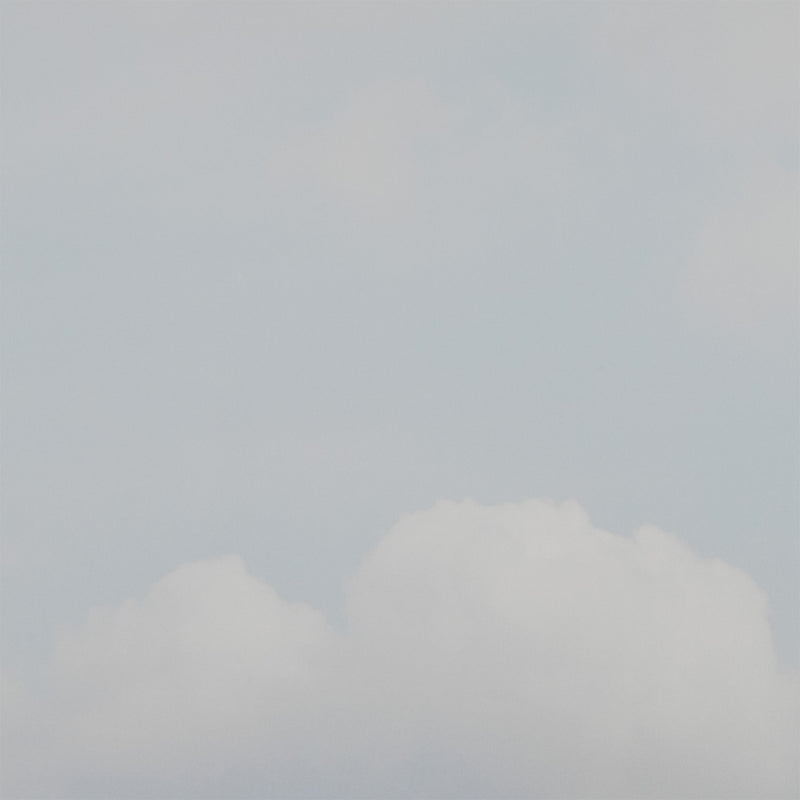 JEFF WALL "SCHOOLYARD, VANCOUVER – SPRING" 2011