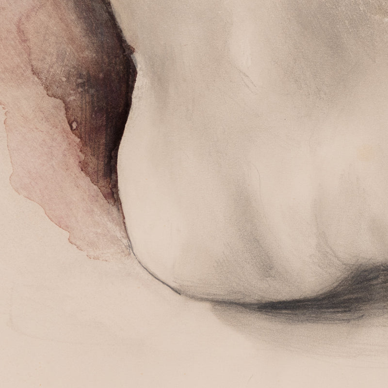 jim dine pop art happenings artist foot still life james dine feet watercolor watercolour drawing work on paper iconic american artist 20th century art toes portraiture portrait 
