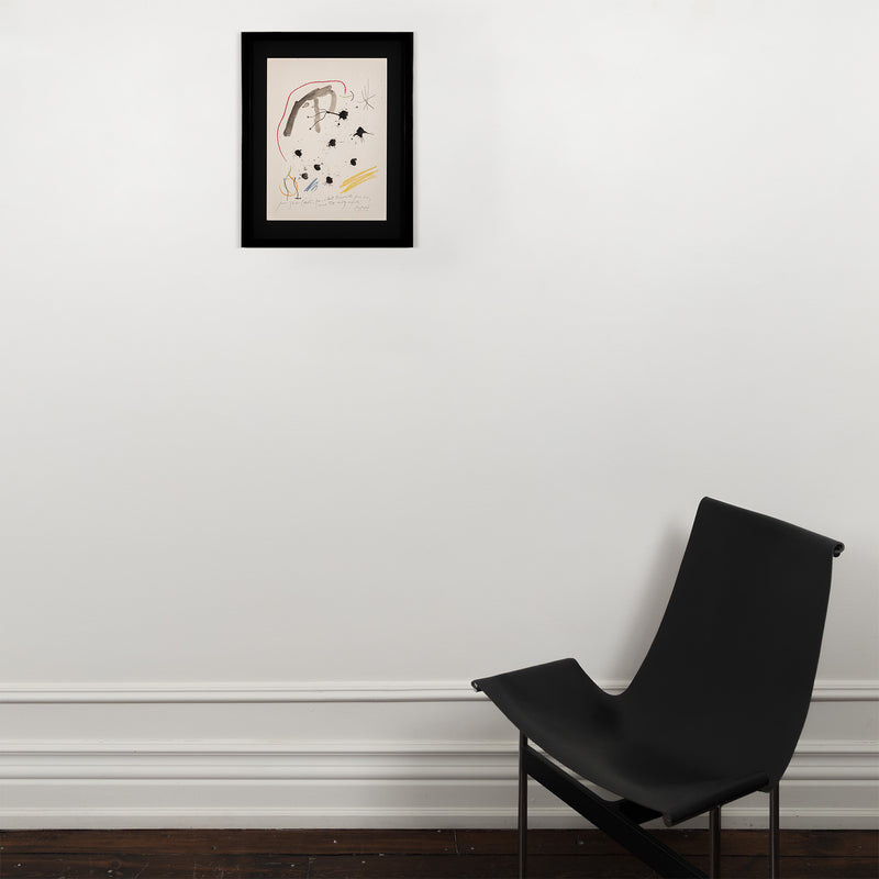joan miro quelques fleurs portfolio amis friends artwork lithograph affordable miro affordable artwork print iconic artist framed