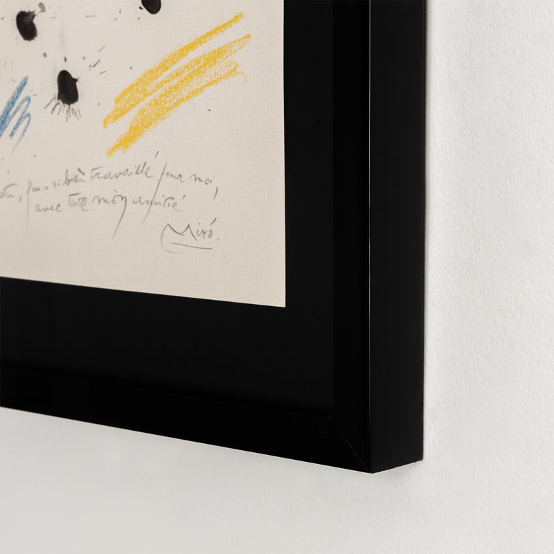 joan miro quelques fleurs portfolio amis friends artwork lithograph affordable miro affordable artwork print iconic artist framed