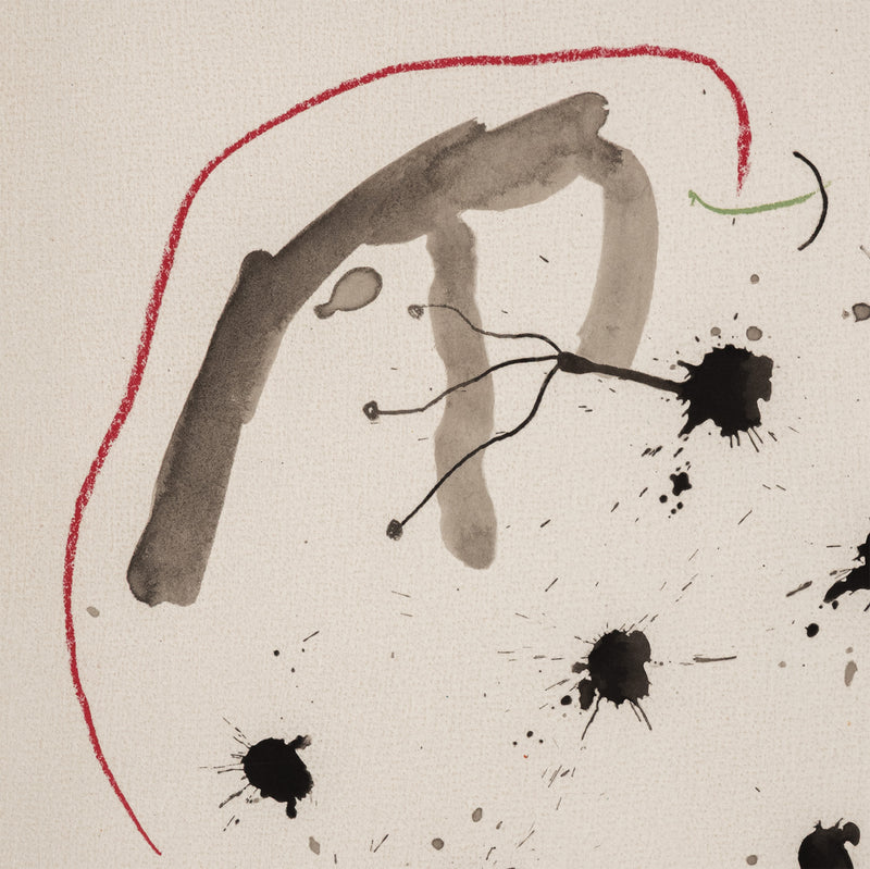 joan miro quelques fleurs portfolio amis friends artwork lithograph affordable miro affordable artwork print iconic artist framed