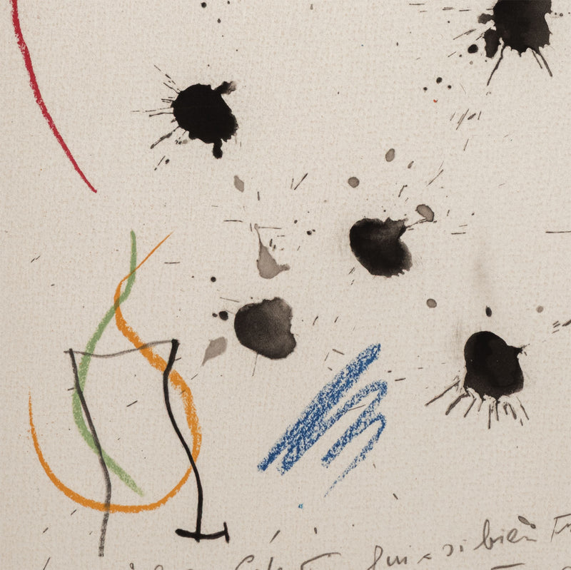 joan miro quelques fleurs portfolio amis friends artwork lithograph affordable miro affordable artwork print iconic artist framed