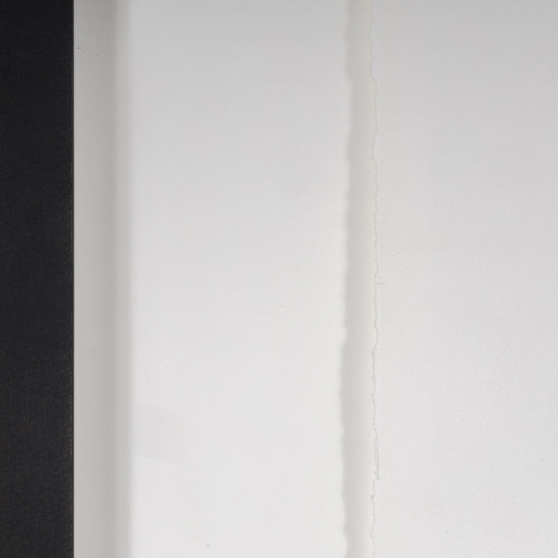 JOAN MITCHELL "BRUSH" LITHOGRAPH, 1981