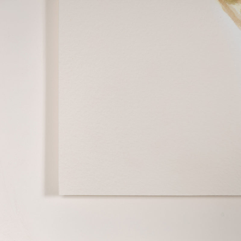 Joanne Tod gold medallion 2020 watercolor on paper watercolour on paper joanne tod work on paper museum institutional critique joanne tod antiquity buy sell collect joanne tod affordable original canadian artwork