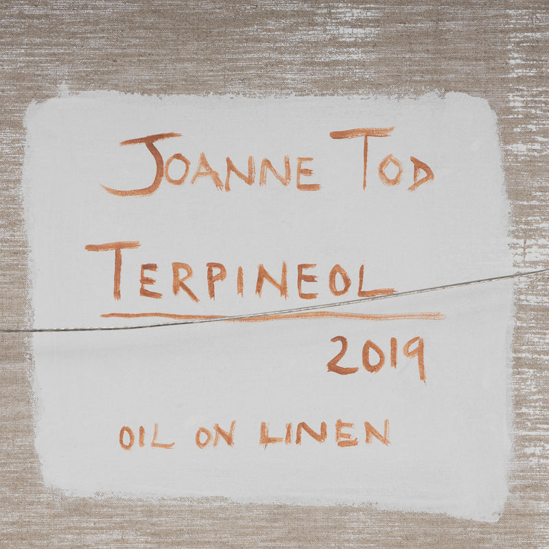 Joanne Tod Terpineol oil on linen painting 2019 36 x 36 copper tiles elements erosion of copper realist painter canadian painter