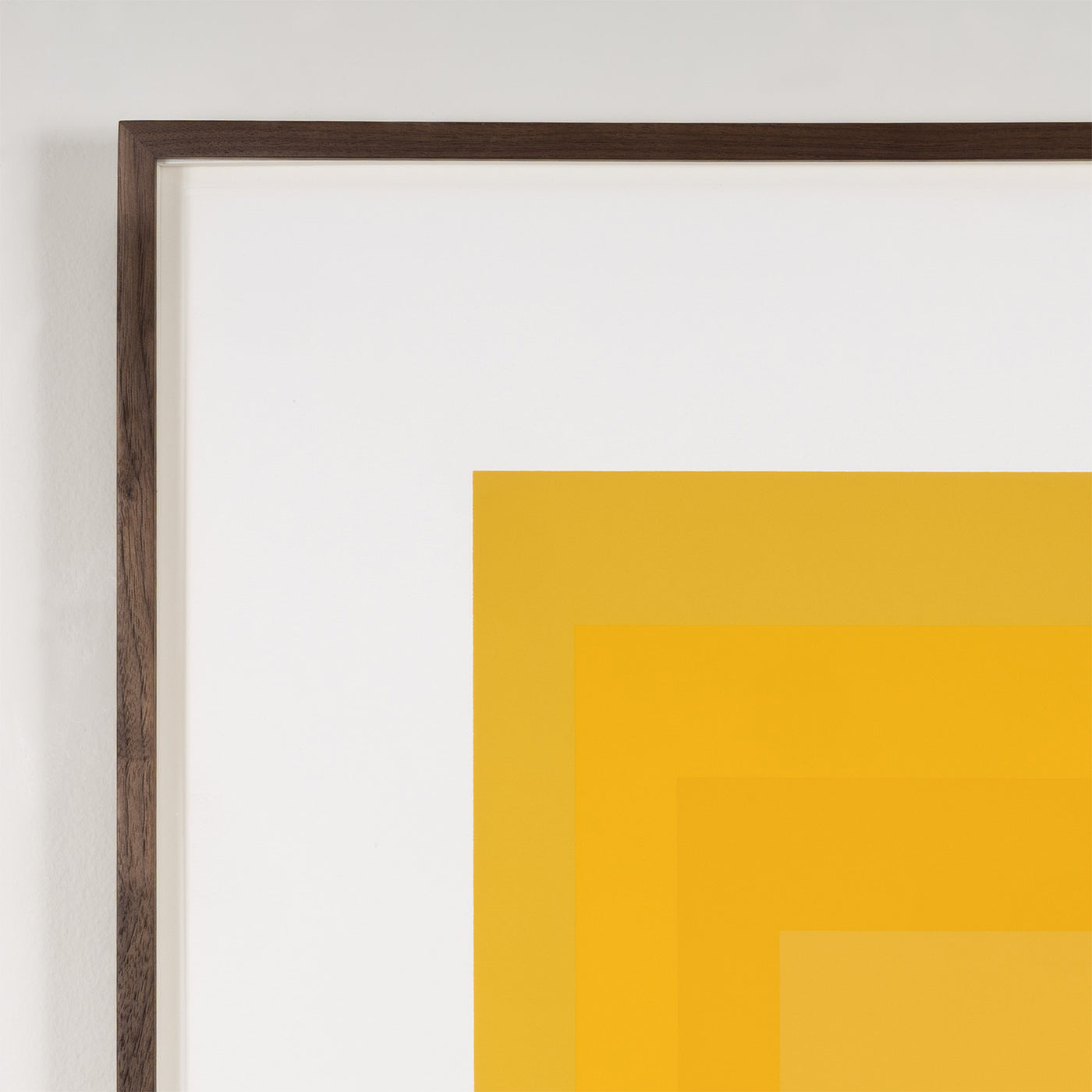 Caviar20_Josef-Albers-GB-