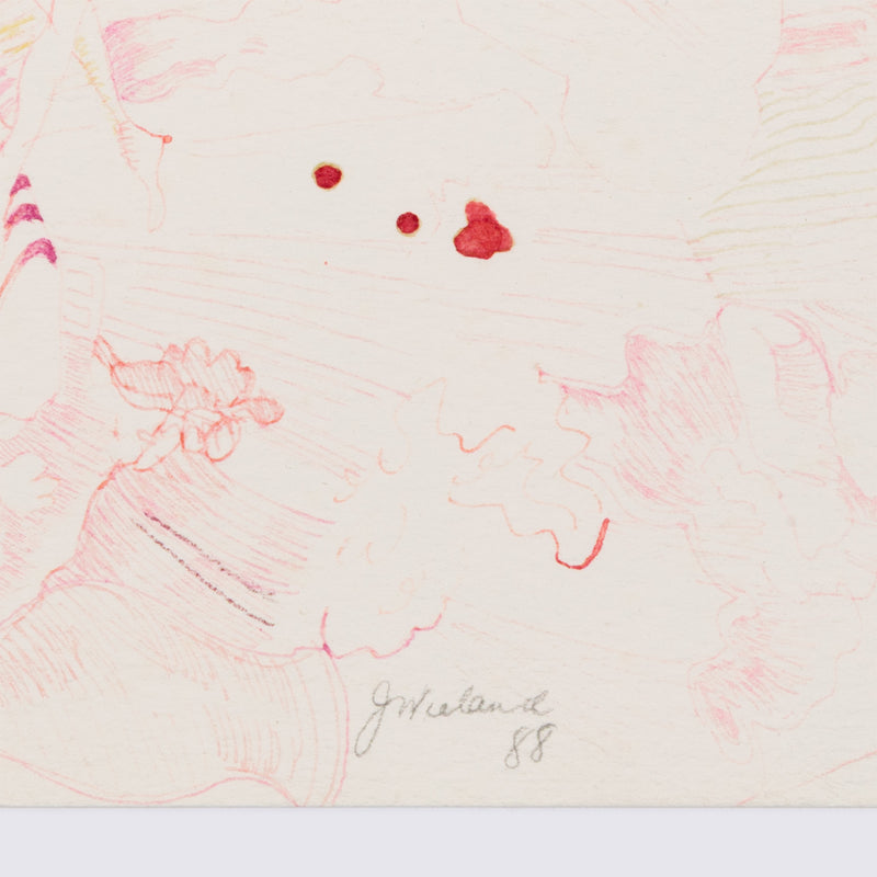 JOYCE WIELAND "FUCHSIA DREAM" 1988