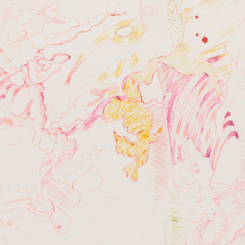 JOYCE WIELAND "FUCHSIA DREAM" 1988