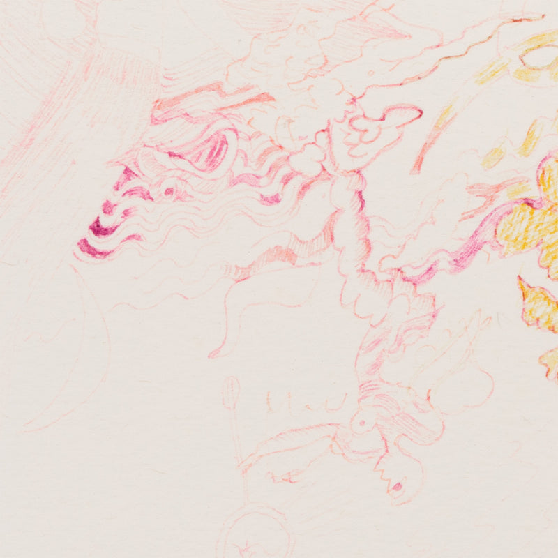 JOYCE WIELAND "FUCHSIA DREAM" 1988