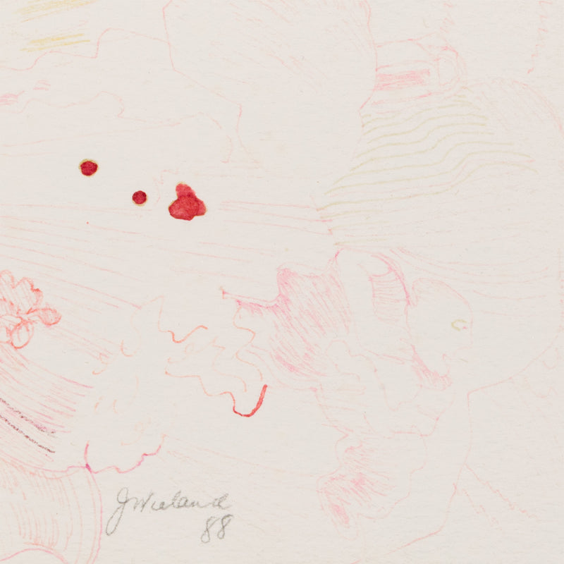 JOYCE WIELAND "FUCHSIA DREAM" 1988