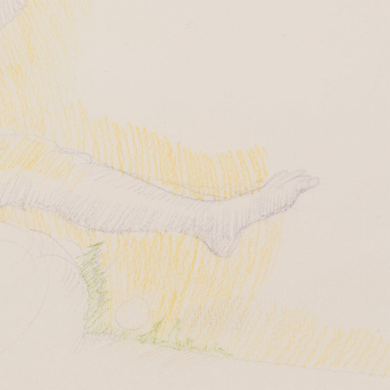 JOYCE WIELAND "LEARNING BALANCE" 1981