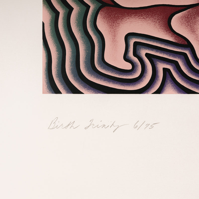 judy chicago the birth trinity the birth project 1980s 1985 feminist art feminist artist iconic feminism american psychedellic artwork print limited edition multiple portfolio women artists 