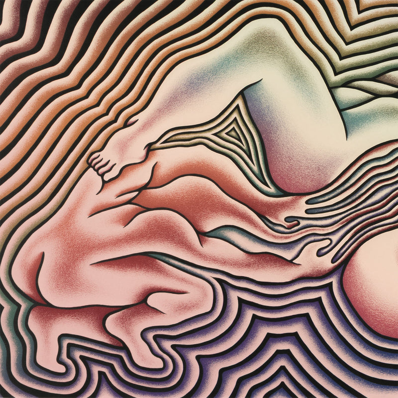 judy chicago the birth trinity the birth project 1980s 1985 feminist art feminist artist iconic feminism american psychedellic artwork print limited edition multiple portfolio women artists 