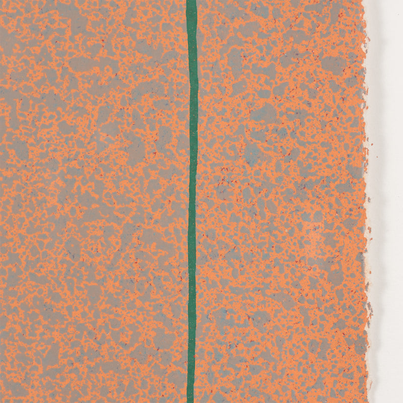 jules olitski graphic suite print multiple edition iconic colorfield color field painter orange 1970