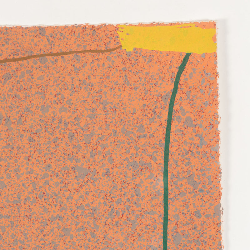jules olitski graphic suite print multiple edition iconic colorfield color field painter orange 1970