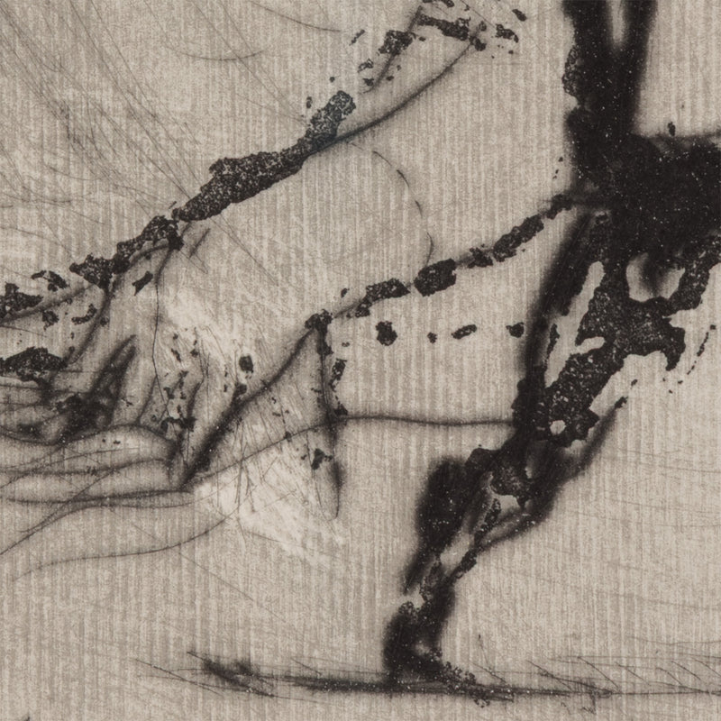 WILLIAM KENTRIDGE “NOSE #1" ETCHING, 2007