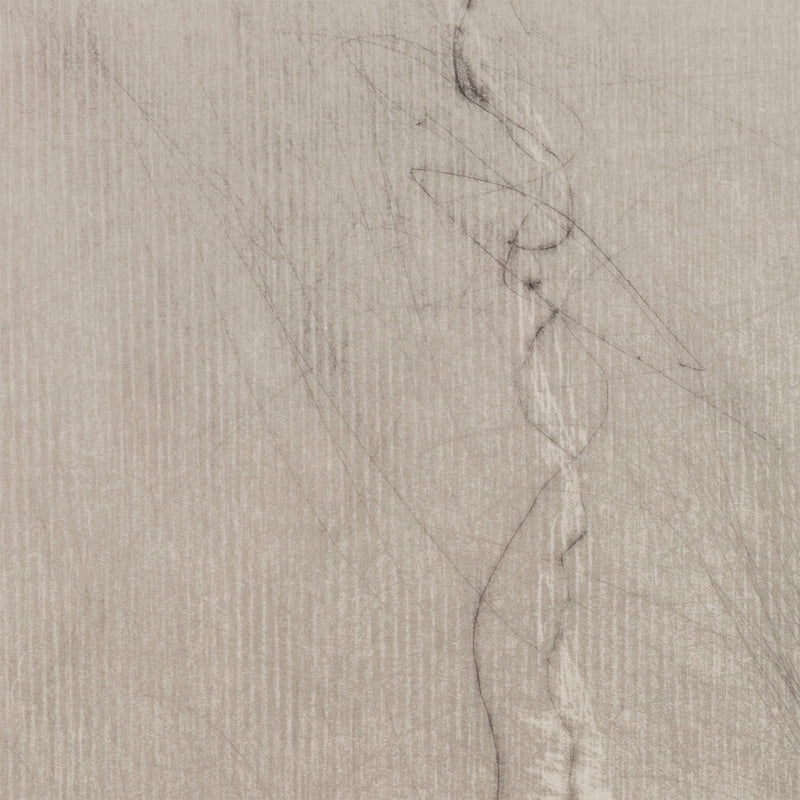 WILLIAM KENTRIDGE “NOSE #1" ETCHING, 2007