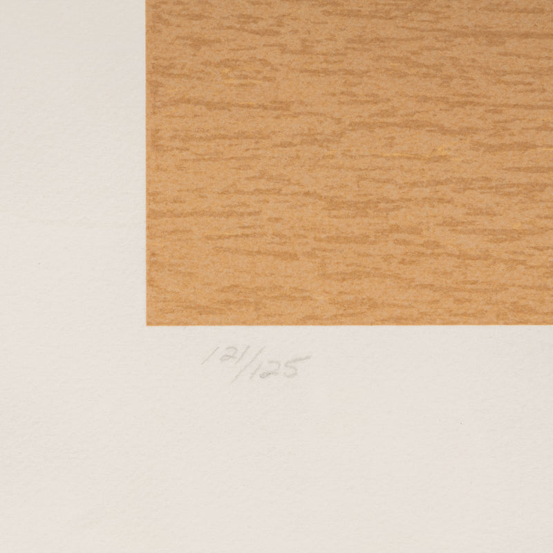 louise nevelson solitude 1986 print limited edition screenprint and collage on paper cardboard assemblage collect american art support american artists 