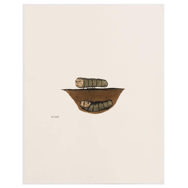 marcel dzama bug eyepatch watercolor watercolour work on paper canadian artist collect buy sell marcel dzama work on paper ink and gouache caterpillars long bugs green bugs eyepatch canadian art
