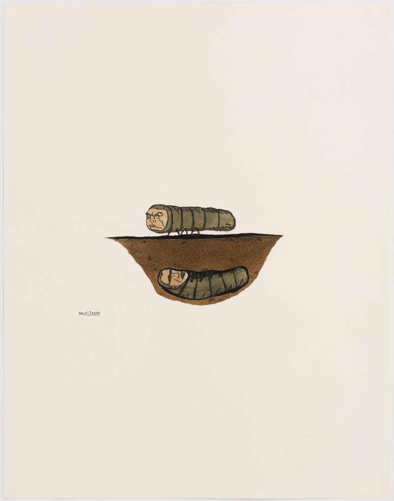 marcel dzama bug eyepatch watercolor watercolour work on paper canadian artist collect buy sell marcel dzama work on paper ink and gouache caterpillars long bugs green bugs eyepatch canadian art